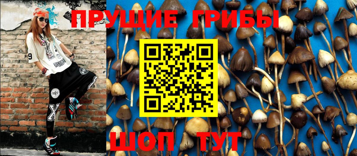 Ухта  закладка  Вход с VPN  Галлюциногенные грибы ЛСД 