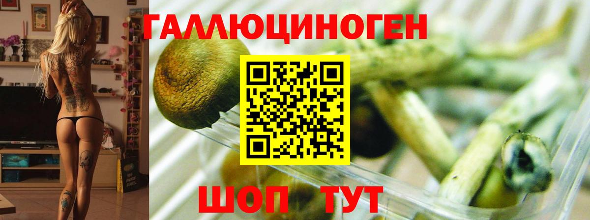Галлюциногенные грибы ЛСД Ухта